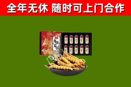 五家渠烟酒回收冬虫夏草礼盒.jpg